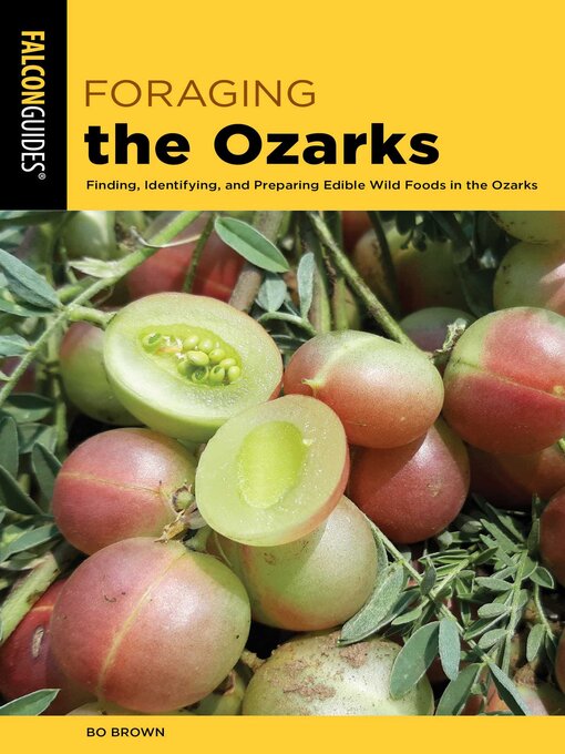 Title details for Foraging the Ozarks by Bo Brown - Available